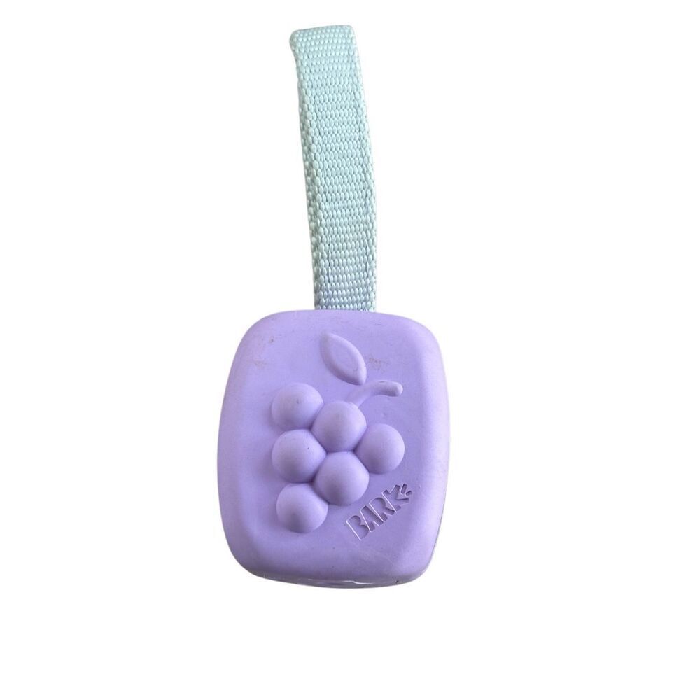 Bark Box Light Purple Super Chewer Dog Toy, “RARE Chews Box" version.